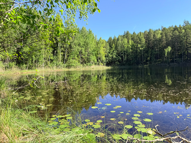 Kelvenneenlampi