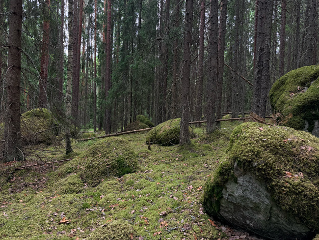 Kiviä polun varressa