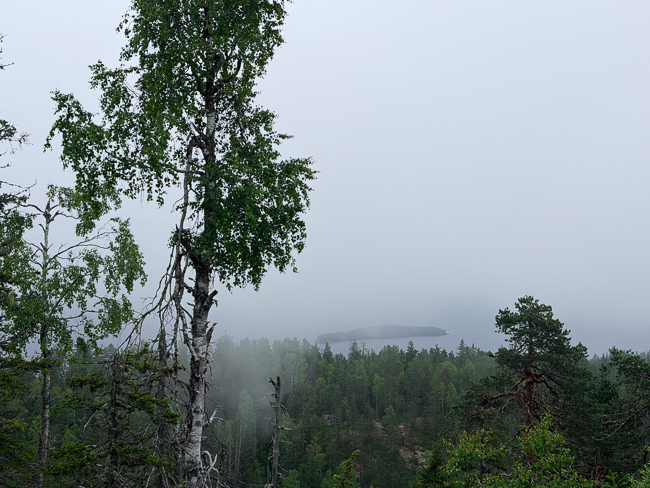 Sumuinen maisema Kolilta, metsän takan näkyvänä saari