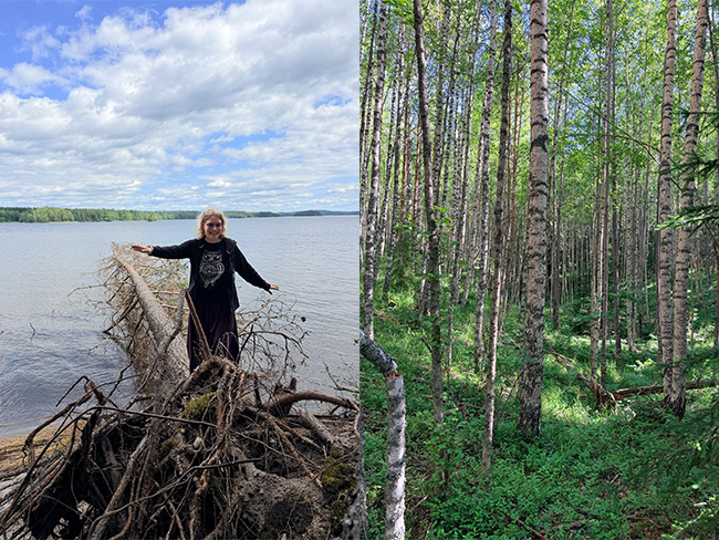 Koivikkoa ja minä kävelemässä puunrungolla
