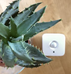 Philips Hue Motion Sensor