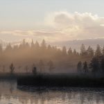 Satunnaiskuvaajan helmiä